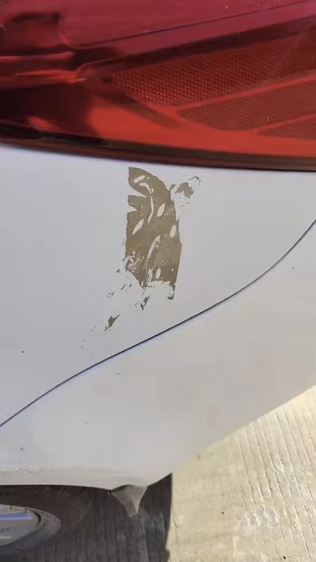 63e737e3-c242-4213-8b10-73b3690a5734