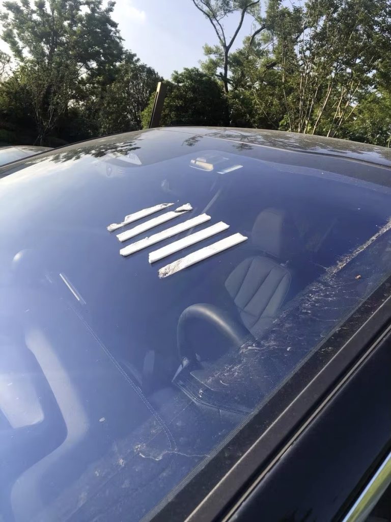 e219b41f-750e-4b97-af46-9f072d4f9e8d